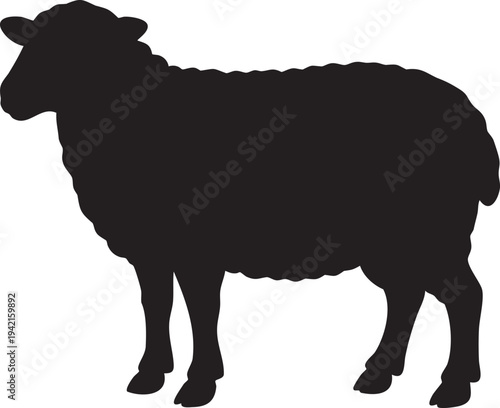 Black silhouette of a sheep standing on a white background