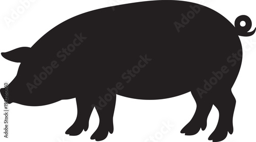 Black pig silhouette on white background animal