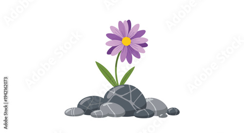 A solitary purple daisy-like flower with a yellow center and green stem grows upwards from a small pile of five smooth, rounded grey stones.