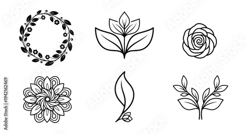 A collection of six different botanical illustrations featuring various flowers and leaves