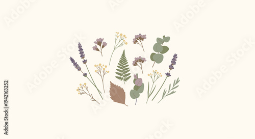 A diverse collection of illustrated botanical elements, including lavender, eucalyptus, and ferns, is artfully arranged in a central cluster on a light background.