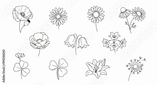 자연의 아름다움과 평온함을 상징하는 양귀비, 데이지, 클로버 등 다양한 꽃과 식물들을 섬세한 선으로 표현한 미니멀한 일러스트레이션 세트입니다.