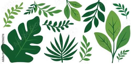 Tropical Green Leaves Collection Botanical Foliage Set for Natural Design