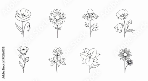 다양한 종류의 꽃을 섬세하게 표현한 라인 아트 일러스트 세트로, 자연의 아름다움을 담은 식물 스케치 모음입니다.