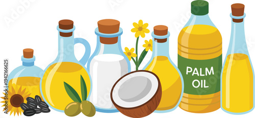 Cooking Oils Collection with Sunflower Olive Coconut and Palm Oil Bottles Vector