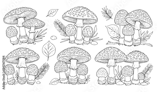 Amanita Muscaria Mushroom Line Art Set – Black and White Botanical Coloring Page Vector