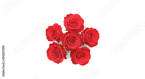 Six vibrant red roses with fully bloomed petals are meticulously arranged in a circular cluster, viewed from above on a pristine white surface.