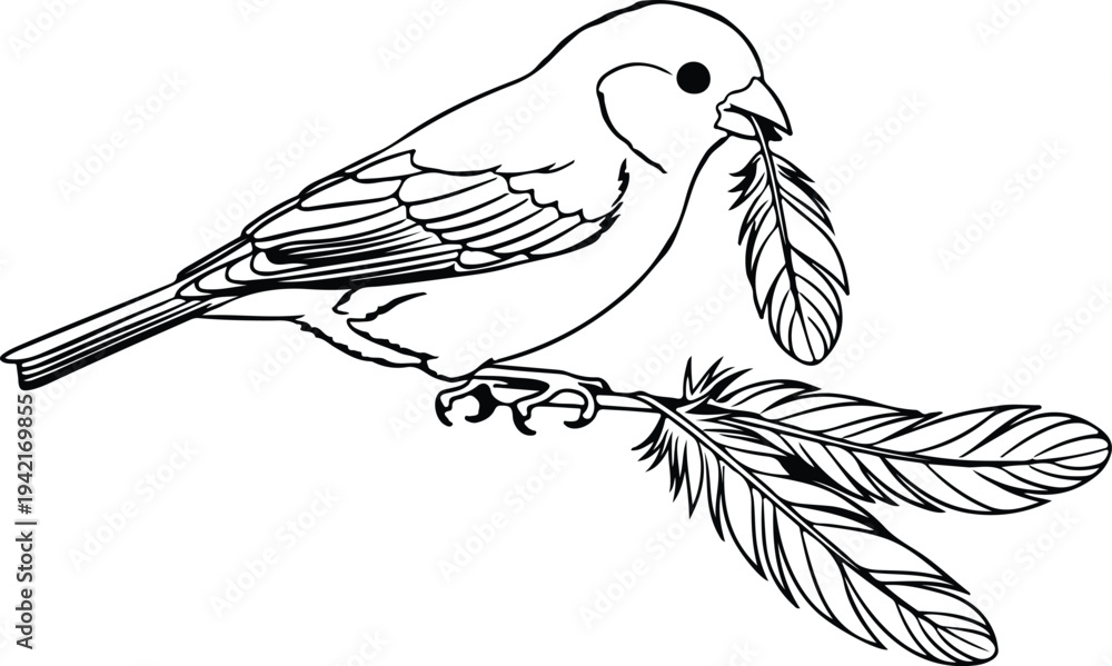 Fototapeta premium Vector detailed sparrow holding feathers in beak and talons silhouette design