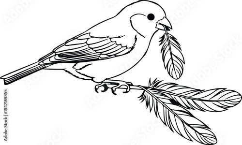 Vector detailed sparrow holding feathers in beak and talons silhouette design