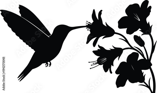 Vector hummingbird feeding on flower silhouette design