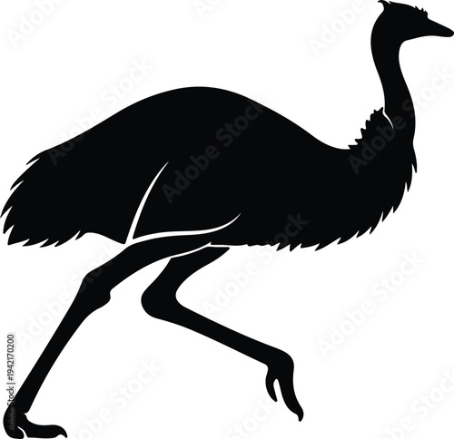 Vector ostrich running dynamically isolated on white background silhouette design