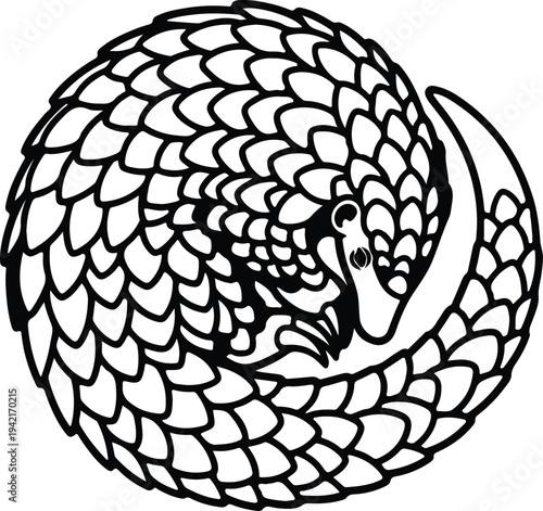 Vector pangolin curled in ball shape abstract nature silhouette design