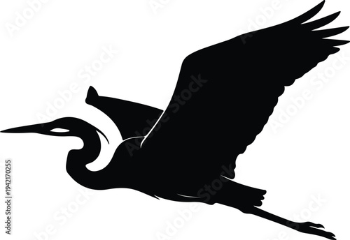 Vector silhouette flying heron bird in motion graceful wings design