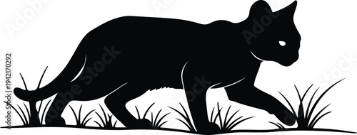 Vector silhouette of a black cat walking through tall grass design
