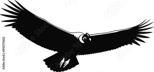 Vector stylized bird of prey soaring with wide wingspan silhouette design