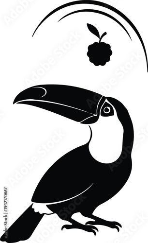 Vector toucan bird with fruit and abstract shapes silhouette design