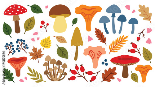 Autumn forest mushroom and leaf flat vector illustration set design
