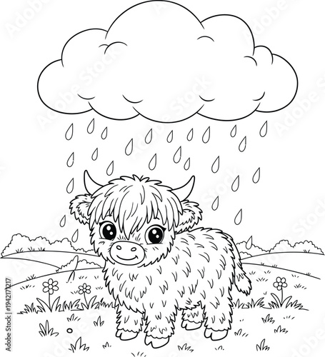 Cute Highland Cow Coloring Pages with Rainbow and Rain for Kids