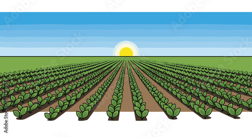 A wide, cultivated field of green plants stretches into the distance under a gradient blue sky with a setting or rising yellow sun on the horizon line.