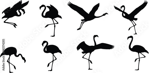 Flamingo Silhouette Vector Set with Flying Standing Walking and Feeding Poses Black Bird Shadow Collection