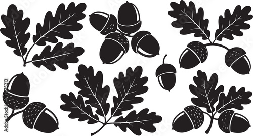 Collection of unique black snowflakes on white background illustration