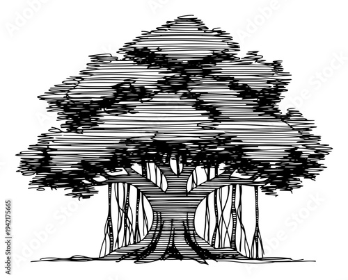 Banyan tree with aerial roots in black and white hatched line art style