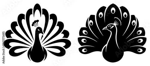 Peacock birds with fanned tail feathers in minimalist black and white graphic style