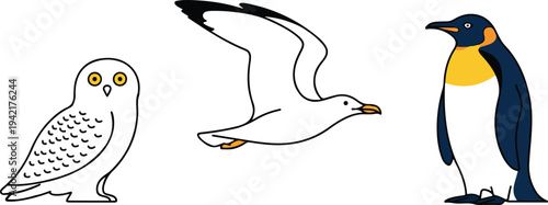 Set of Arctic and Antarctic Birds Including Snowy Owl Seagull and King Penguin Flat Vector Illustration for Wildlife and Nature Education