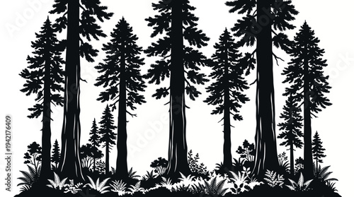 Majestic redwood forest silhouette against a white background, showcasing nature's grandeur