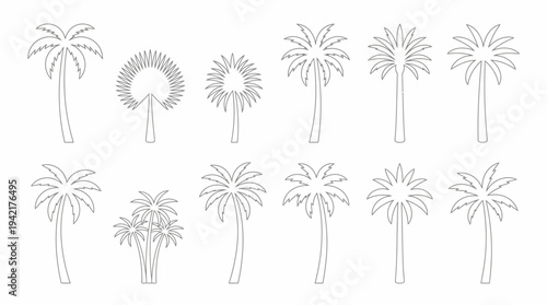 Diverse Outline Palm Tree Illustrations Set for Tropical and Summer Designs
