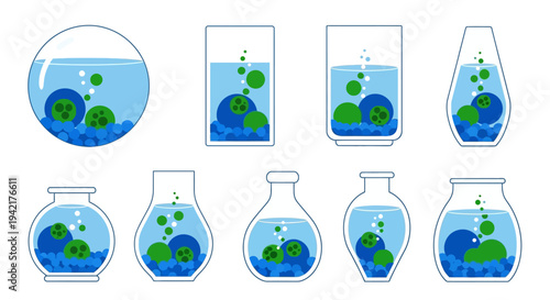 Set of various elegant glass containers with vibrant Marimo moss balls and blue pebbles, an aquatic plant collection