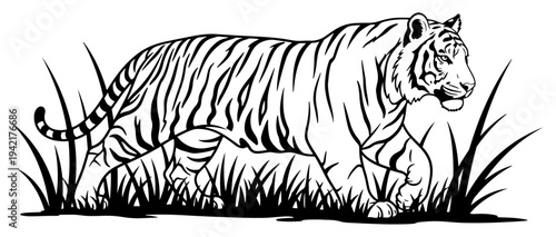 Tiger walking through high grass in detailed line art style
