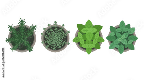 Top-Down View of Fresh Potted Herbs A Collection of Green Plants in Pots for Culinary and Decorative Use