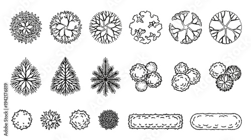 Overhead View Botanical Elements for Landscape and Architectural Planning Designs, Featuring Trees and Shrubs