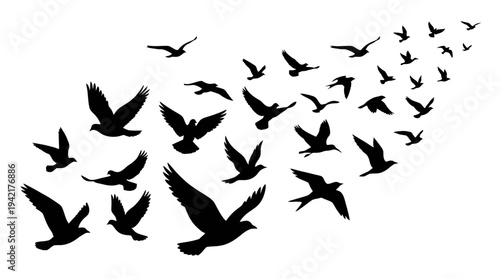 Dynamic silhouette of a flock of birds soaring upwards in unison, embodying freedom and collective movement