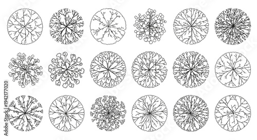 Detailed collection of diverse tree top view line drawings for architectural and landscape design plans and CAD projects