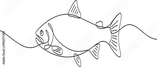 Continuous line drawing of a fish with detailed fins and an open mouth, swimming in water animal aquatic