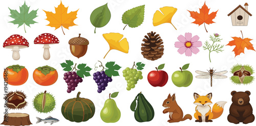 Large Autumn Forest Collection with Colorful Leaves, Mushrooms, Acorns, Pumpkins, Squirrel, Fox, Bear, and Harvest Fruits for Fall Season Marketing and Thanksgiving Designs