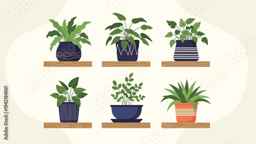 Beautiful collection of various green indoor house plants growing in decorative pots placed on wooden shelves for home decor.