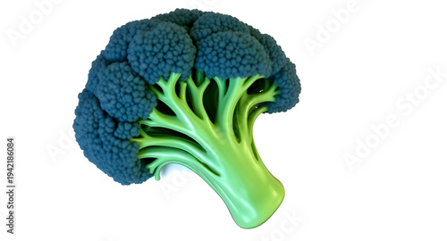broccoli, vegetable, cartoon, illustration, food, green, healthy, nutrition, organic, fresh, veggie, plant, farm, harvest, diet, cooking, kitchen, meal, ingredient, vegan, vegetarian, natural, garden,