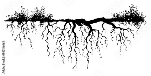 Intricate underground root system with bushes and ground foliage in vintage engraving style