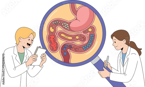 Medical Doctors Examining Human Digestive System Under , Concept of Gastroenterology Research, Gut Microbiome Health, Internal Organ Study, and Professional Healthcare Analysis Vector Illustration