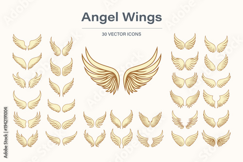 Angel Wings Vector Icon Set, Vector Illustration. Feathered Wings Collection in Different Shapes. Tattoo and Logo Design Elements for Religion, Heaven, Fantasy, Decorative Emblems Isolated