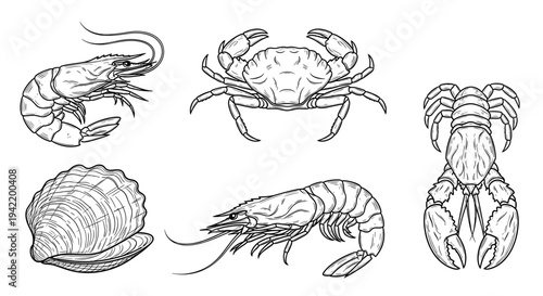 A set of six sea creatures including shrimp, crab, and shell in a minimalist line art style