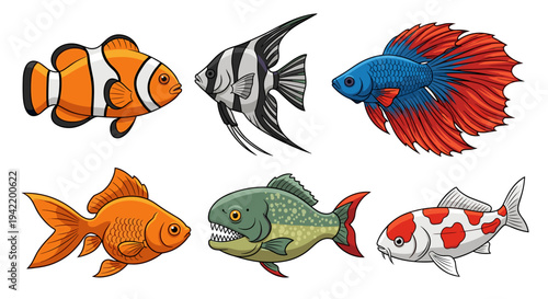 A colorful vector illustration of six different fish species on a white background