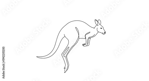 A minimalist line art illustration of a kangaroo in a dynamic pose
