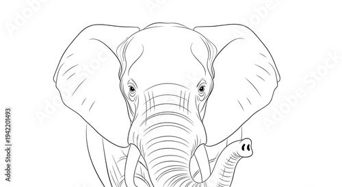 A minimalist line art illustration of an elephant's head with large ears and a trunk