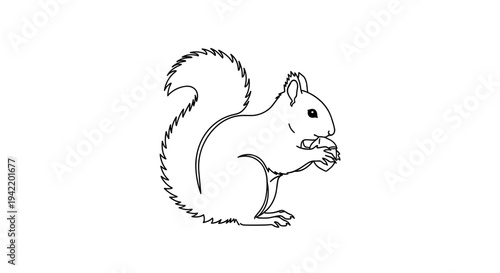 A cute cartoon squirrel holding a nut in a simple line art illustration