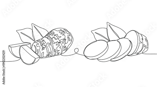 Single line art of sliced taro roots with green leaves on transparent background