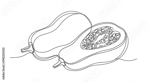 Butternut squash halves with seeds in continuous line drawing style vector art